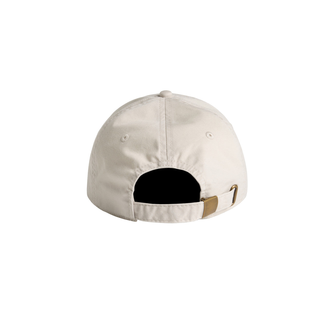 Access Faded Cap - FADED BONE - BACK